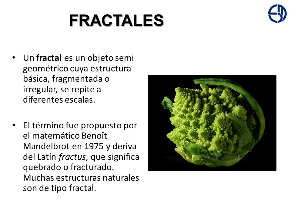 FRACTALES Un fractal es un objeto semi geométrico cuya estructura básica, fragmentada o irregular, se repite a diferentes escalas.
