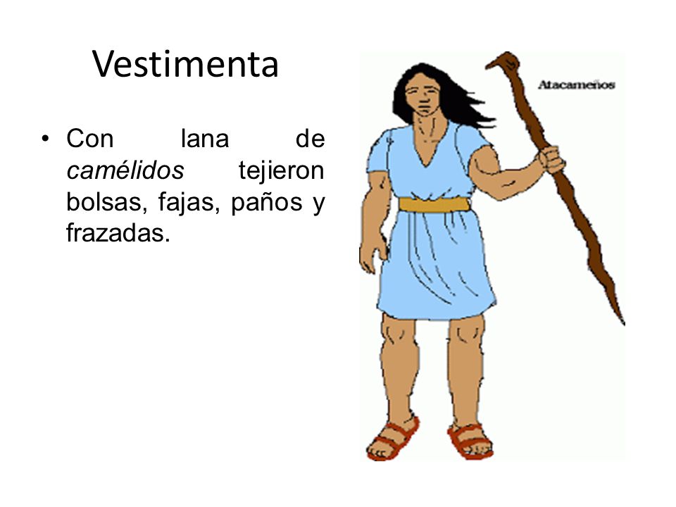 Vestimenta Con lana de camélidos tejieron bolsas, fajas, paños y frazadas.