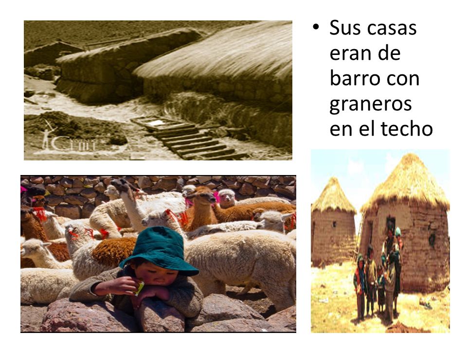 Sus casas eran de barro con graneros en el techo