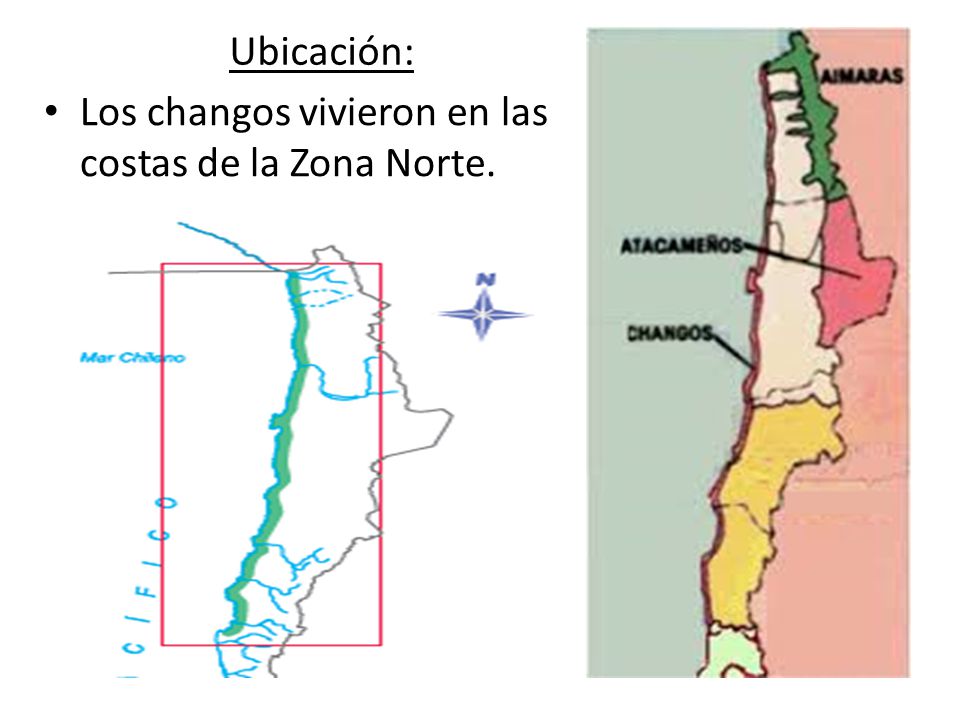 Ubicación: Los changos vivieron en las costas de la Zona Norte.