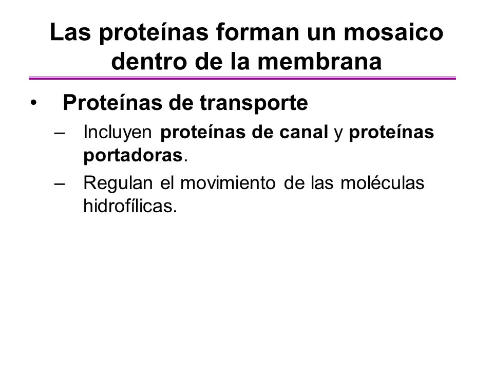 Las proteínas forman un mosaico dentro de la membrana