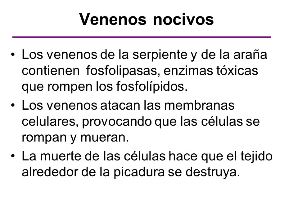 Venenos nocivos Los venenos de la serpiente y de la araña contienen fosfolipasas, enzimas tóxicas que rompen los fosfolípidos.