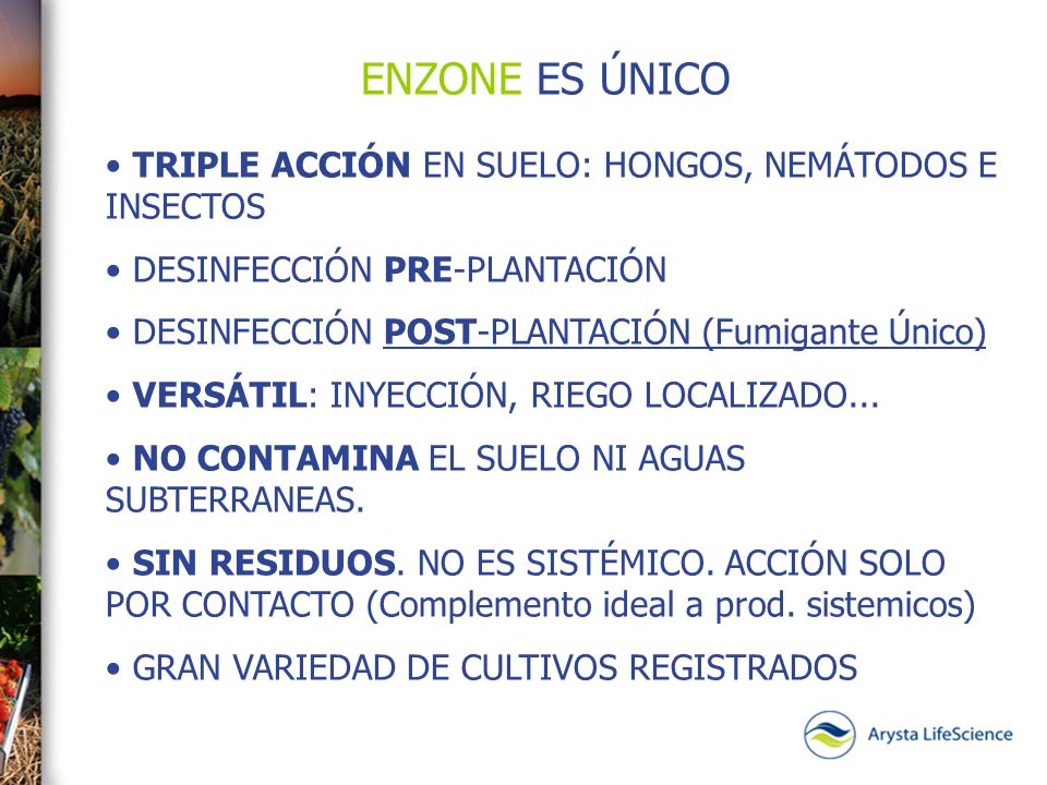 ENZONE ES ÚNICO TRIPLE ACCIÓN EN SUELO: HONGOS, NEMÁTODOS E INSECTOS