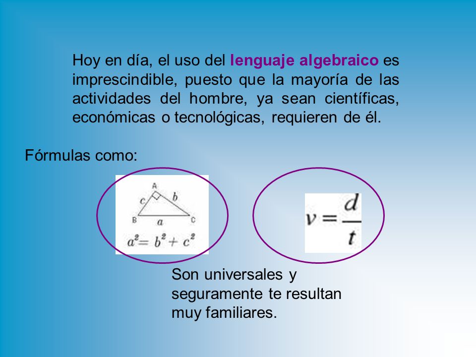 Hoy en día, el uso del lenguaje algebraico es imprescindible, puesto que la mayoría de las actividades del hombre, ya sean científicas, económicas o tecnológicas, requieren de él.