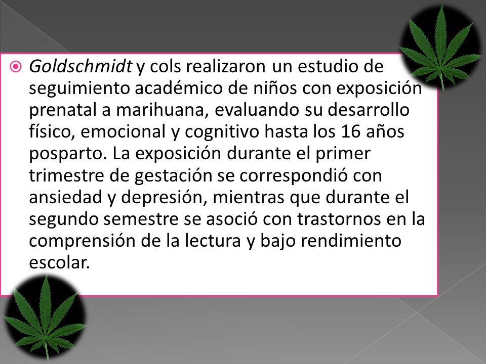 Goldschmidt y cols realizaron un estudio de seguimiento académico de niños con exposición prenatal a marihuana, evaluando su desarrollo físico, emocional y cognitivo hasta los 16 años posparto.