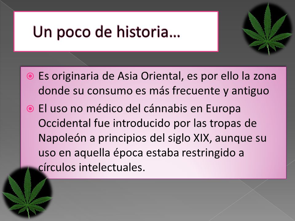 Un poco de historia… Es originaria de Asia Oriental, es por ello la zona donde su consumo es más frecuente y antiguo.