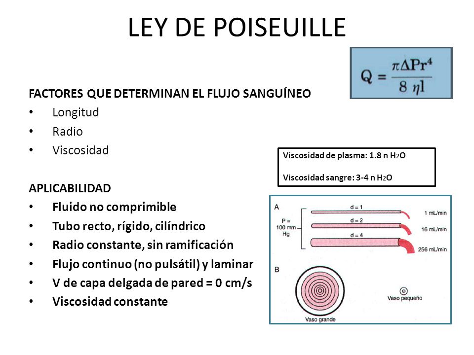 LEY DE POISEUILLE FACTORES QUE DETERMINAN EL FLUJO SANGUÍNEO Longitud