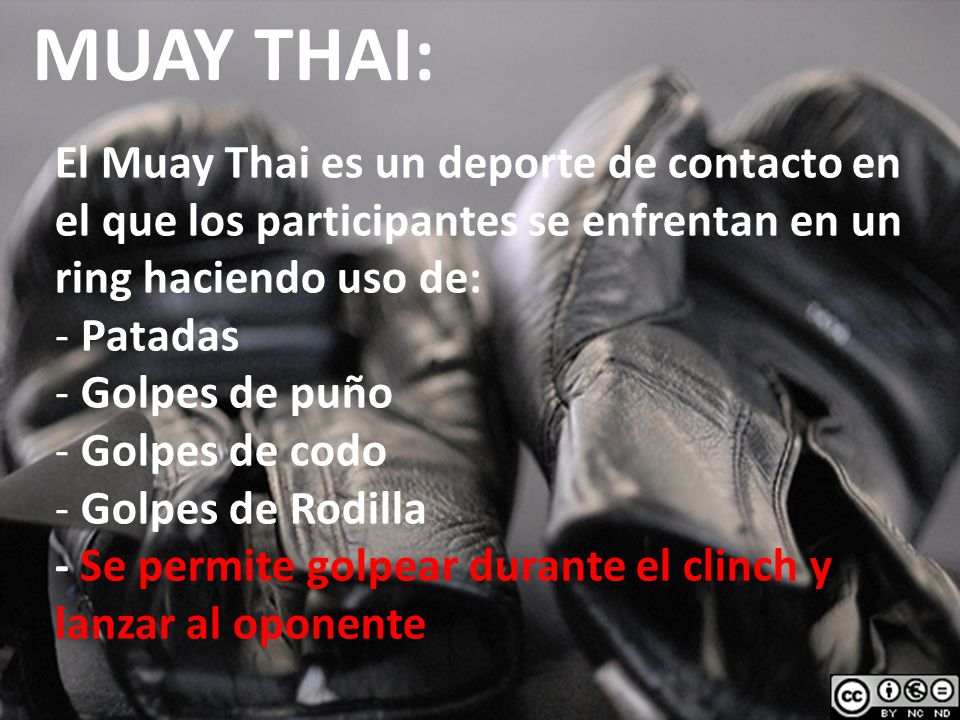 MUAY THAI: El Muay Thai es un deporte de contacto en el que los participantes se enfrentan en un ring haciendo uso de: