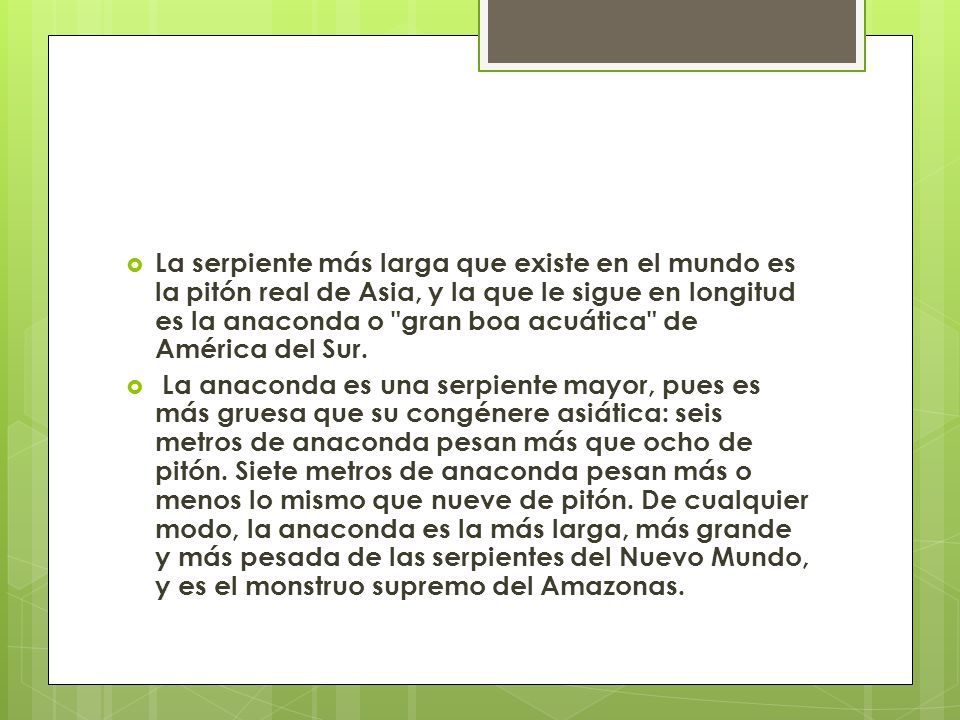 La serpiente más larga que existe en el mundo es la pitón real de Asia, y la que le sigue en longitud es la anaconda o gran boa acuática de América del Sur.