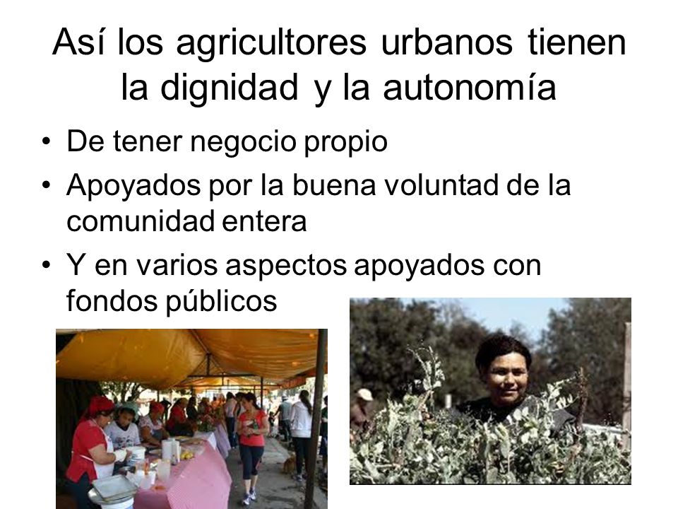 Así los agricultores urbanos tienen la dignidad y la autonomía