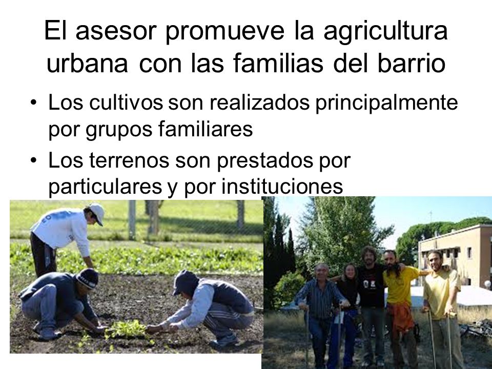 El asesor promueve la agricultura urbana con las familias del barrio