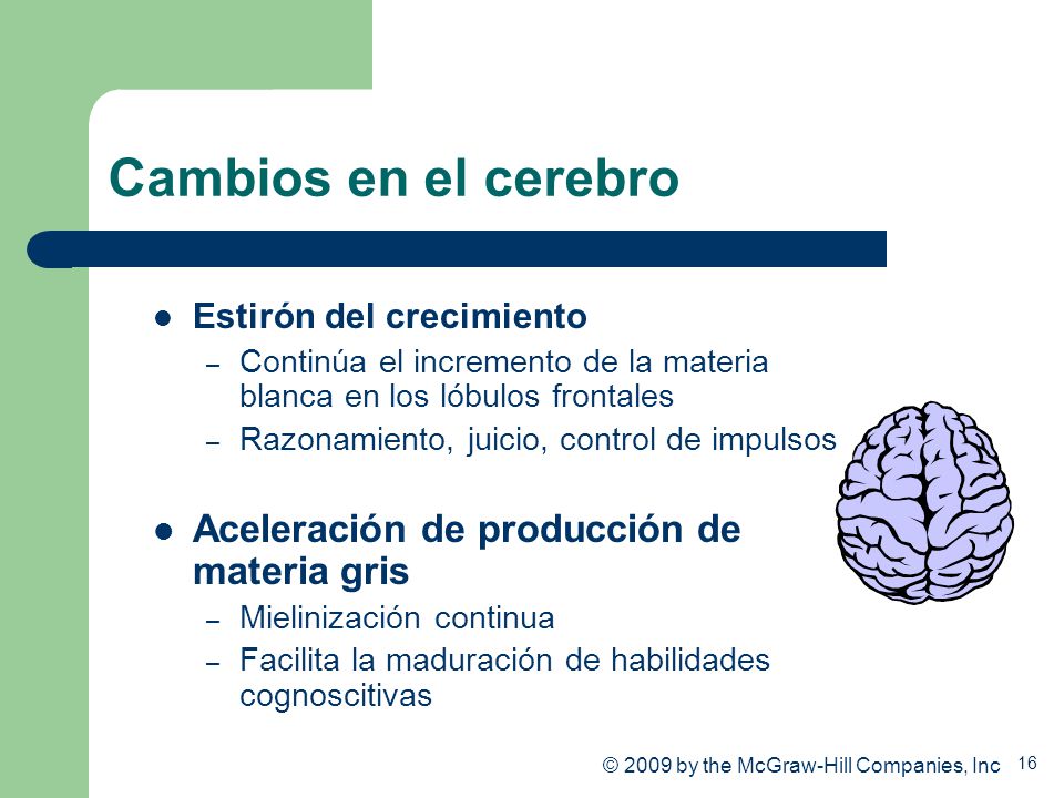 Cambios en el cerebro Aceleración de producción de materia gris