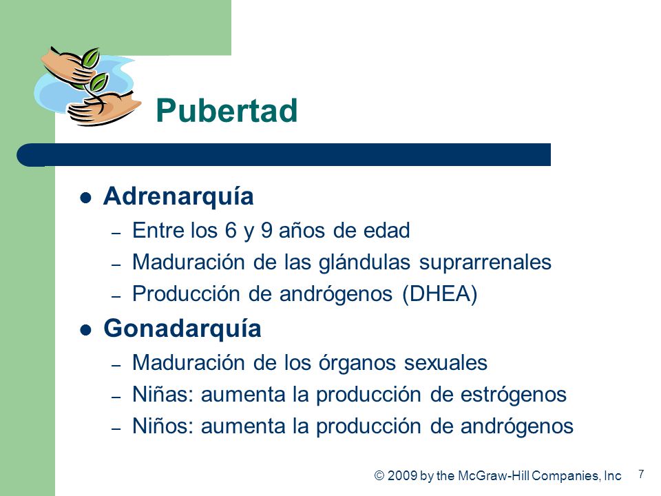 Pubertad Adrenarquía Gonadarquía Entre los 6 y 9 años de edad