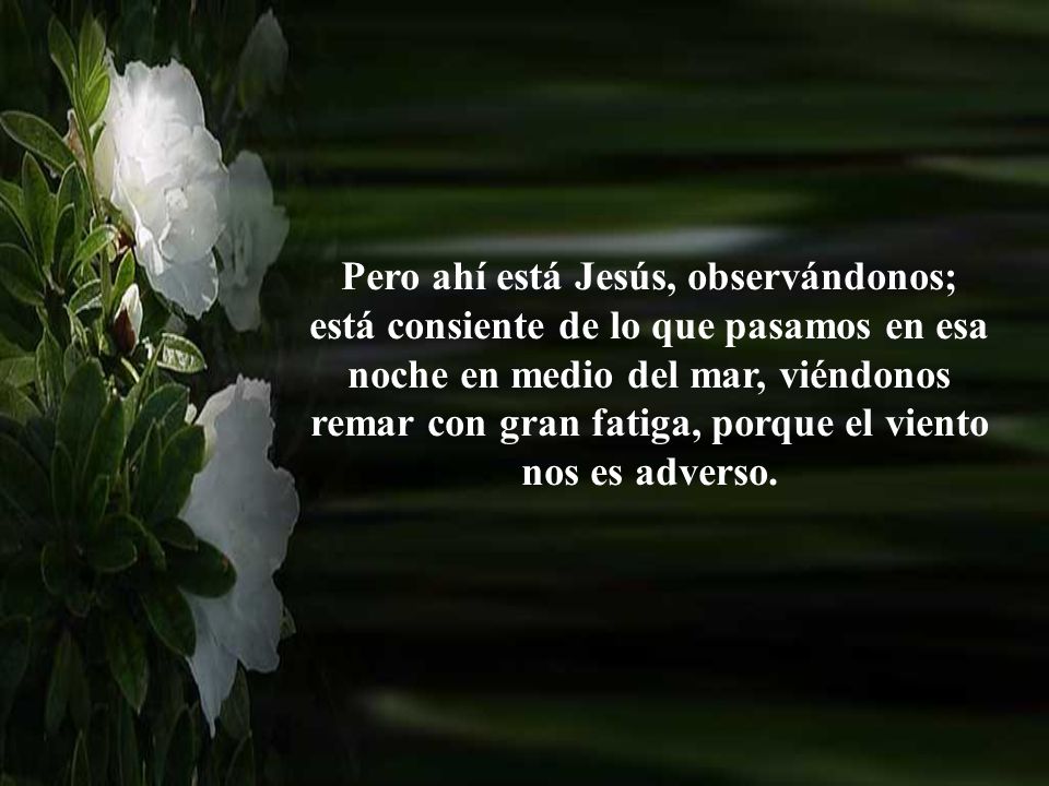 Pero ahí está Jesús, observándonos; está consiente de lo que pasamos en esa noche en medio del mar, viéndonos remar con gran fatiga, porque el viento nos es adverso.