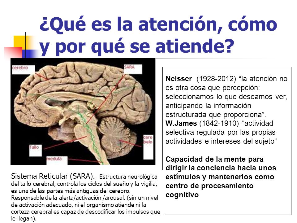 ¿Qué es la atención, cómo y por qué se atiende