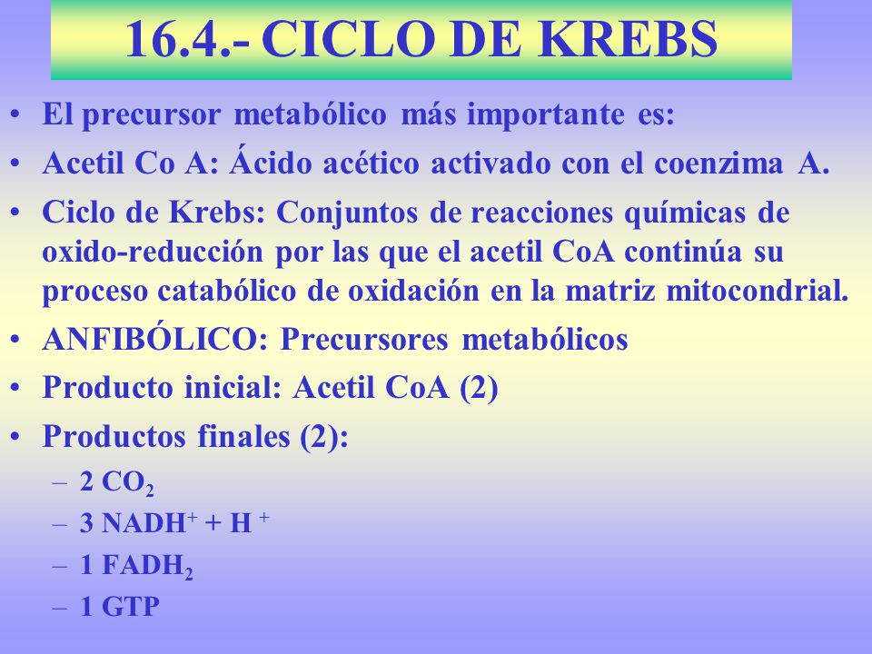 CICLO DE KREBS El precursor metabólico más importante es: