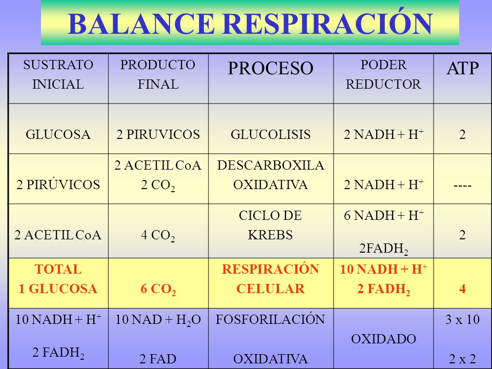 BALANCE RESPIRACIÓN PROCESO ATP SUSTRATO INICIAL PRODUCTO FINAL PODER