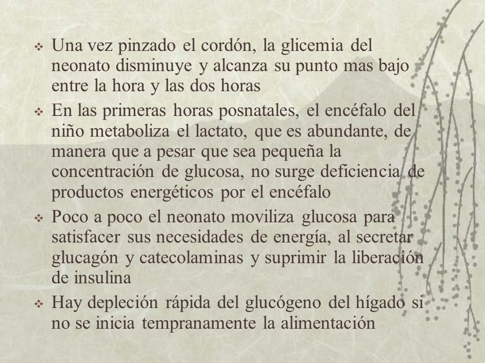 Una vez pinzado el cordón, la glicemia del neonato disminuye y alcanza su punto mas bajo entre la hora y las dos horas