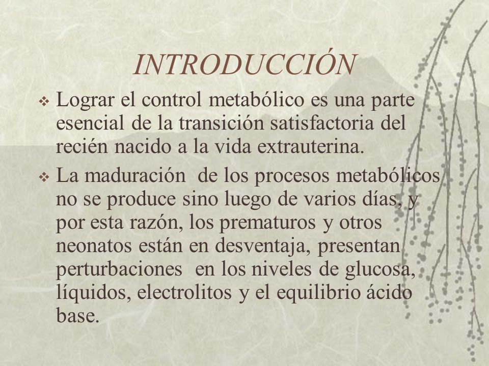 INTRODUCCIÓN Lograr el control metabólico es una parte esencial de la transición satisfactoria del recién nacido a la vida extrauterina.