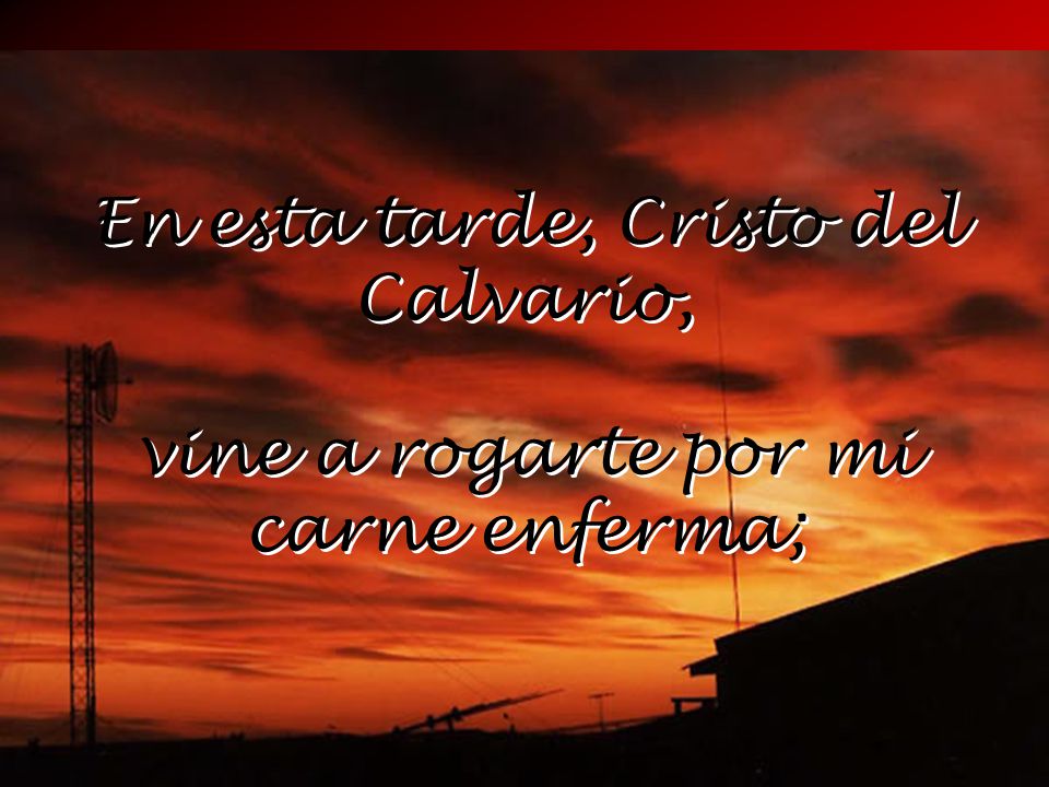 En esta tarde, Cristo del Calvario, vine a rogarte por mi carne enferma;