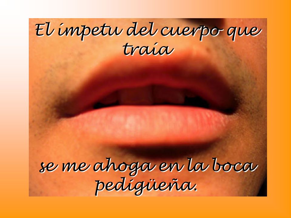 El ímpetu del cuerpo que traía se me ahoga en la boca pedigüeña.