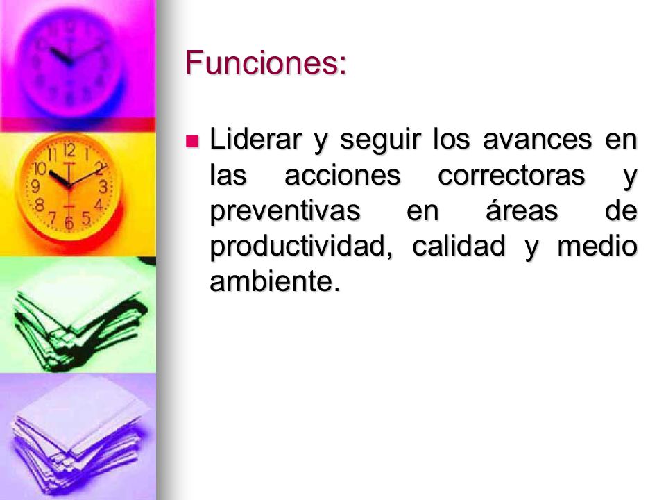 Funciones: Liderar y seguir los avances en las acciones correctoras y preventivas en áreas de productividad, calidad y medio ambiente.