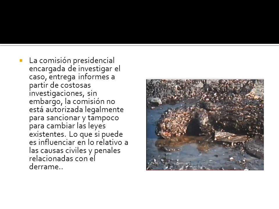 La comisión presidencial encargada de investigar el caso, entrega informes a partir de costosas investigaciones, sin embargo, la comisión no está autorizada legalmente para sancionar y tampoco para cambiar las leyes existentes.