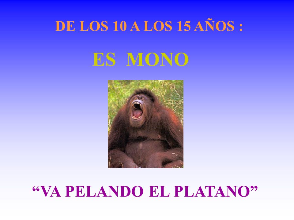 DE LOS 10 A LOS 15 AÑOS : ES MONO VA PELANDO EL PLATANO