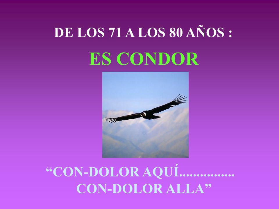ES CONDOR DE LOS 71 A LOS 80 AÑOS : CON-DOLOR AQUÍ