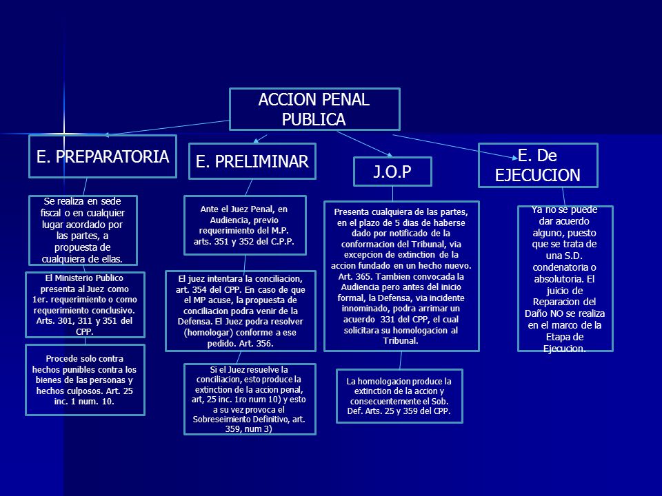 ACCION PENAL PUBLICA E. PREPARATORIA E. De EJECUCION E. PRELIMINAR