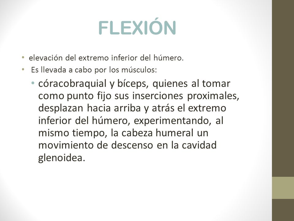 FLEXIÓN elevación del extremo inferior del húmero. Es llevada a cabo por los músculos: