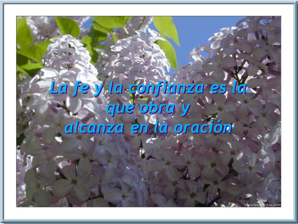 La fe y la confianza es la que obra y alcanza en la oración