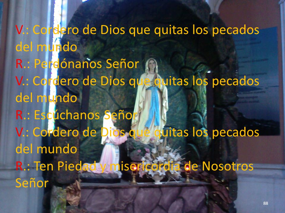 V.: Cordero de Dios que quitas los pecados del mundo