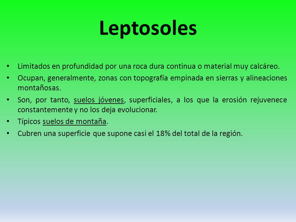 Leptosoles Limitados en profundidad por una roca dura continua o material muy calcáreo.