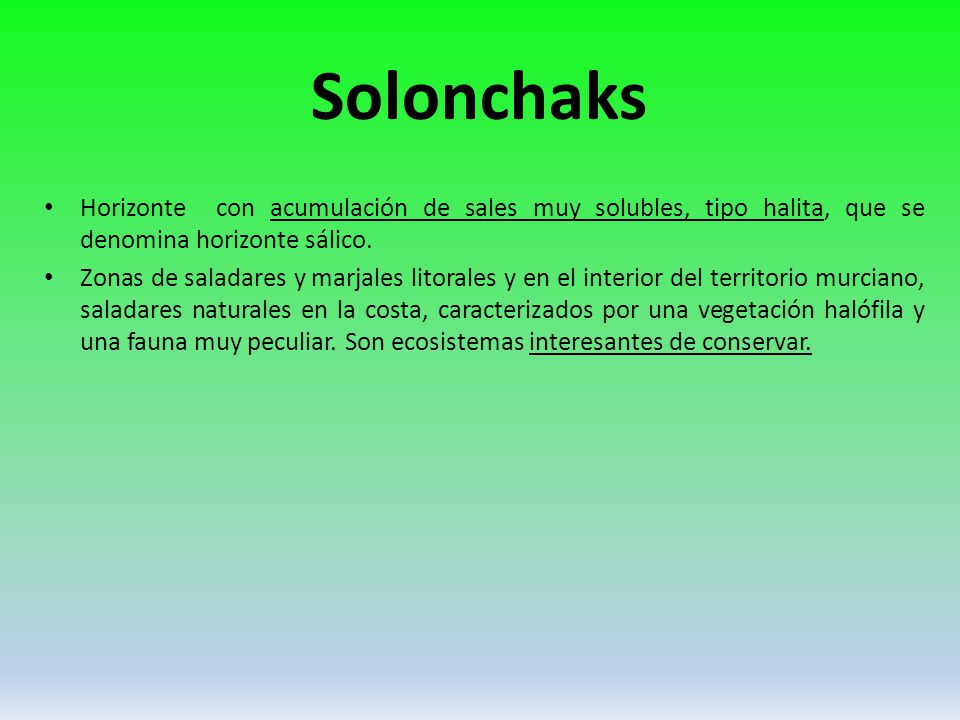 Solonchaks Horizonte con acumulación de sales muy solubles, tipo halita, que se denomina horizonte sálico.