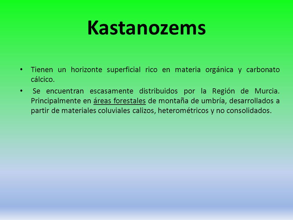 Kastanozems Tienen un horizonte superficial rico en materia orgánica y carbonato cálcico.