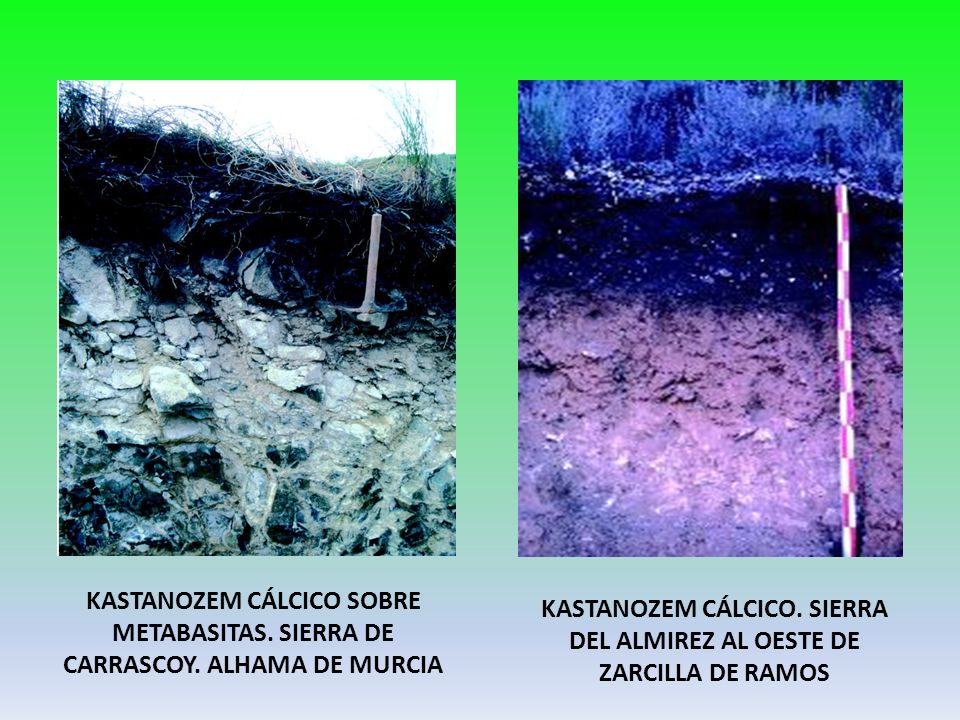KASTANOZEM CÁLCICO. SIERRA DEL ALMIREZ AL OESTE DE ZARCILLA DE RAMOS