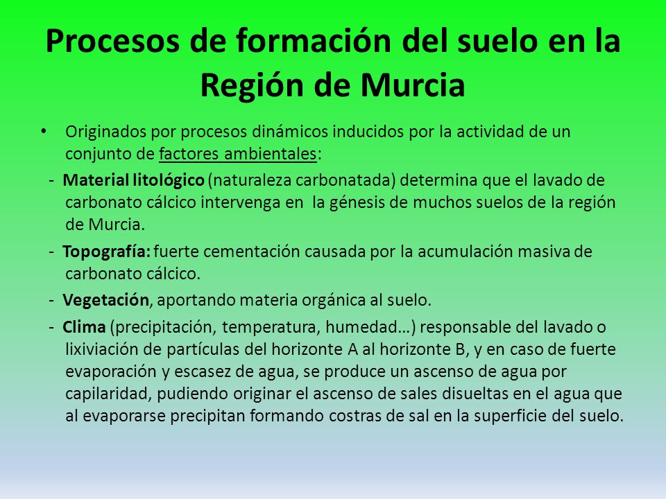 Procesos de formación del suelo en la Región de Murcia
