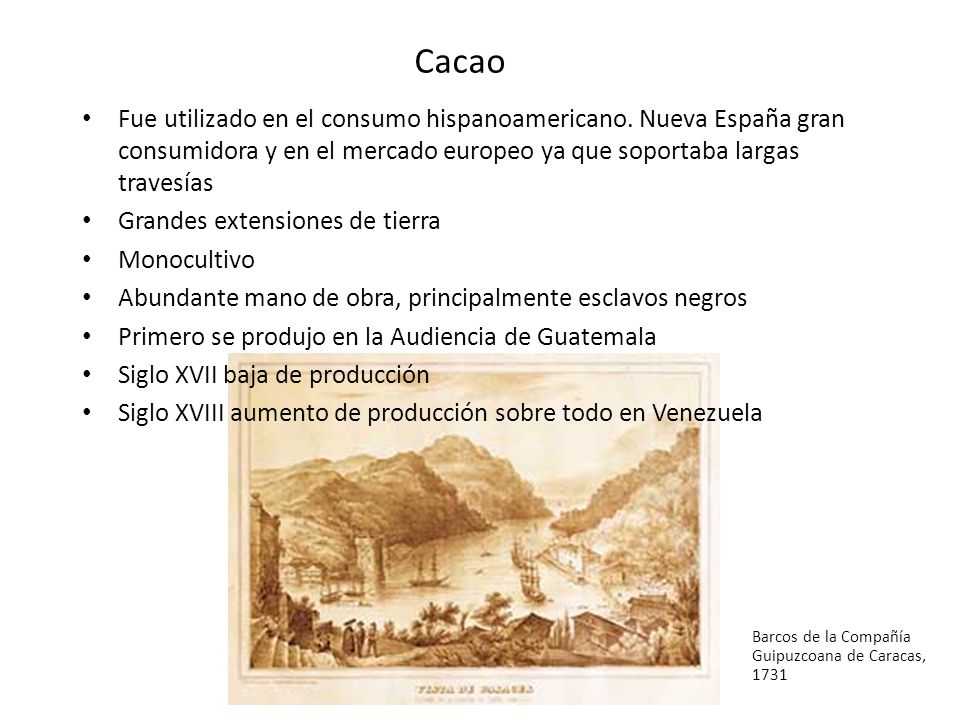 Cacao Fue utilizado en el consumo hispanoamericano. Nueva España gran consumidora y en el mercado europeo ya que soportaba largas travesías.