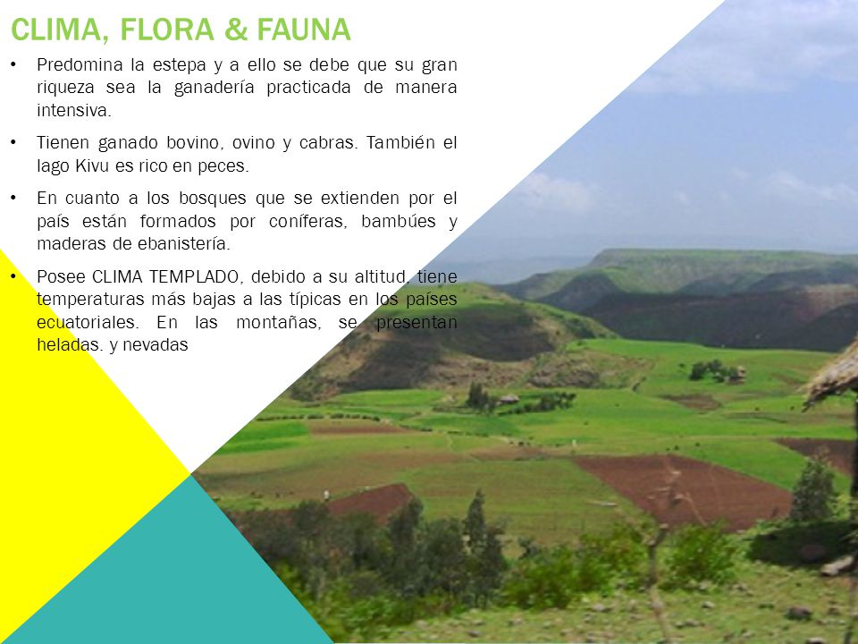 Clima, flora & fauna Predomina la estepa y a ello se debe que su gran riqueza sea la ganadería practicada de manera intensiva.
