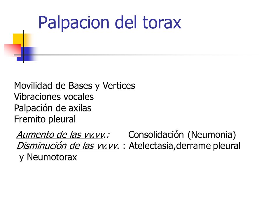 Palpacion del torax Movilidad de Bases y Vertices Vibraciones vocales