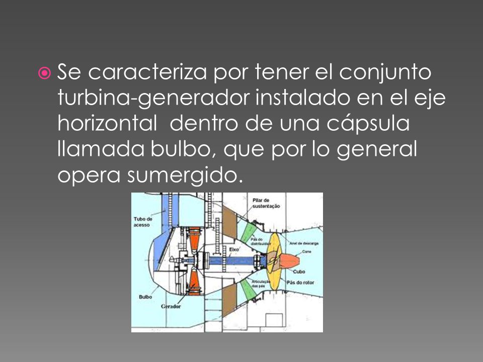 Se caracteriza por tener el conjunto turbina-generador instalado en el eje horizontal dentro de una cápsula llamada bulbo, que por lo general opera sumergido.