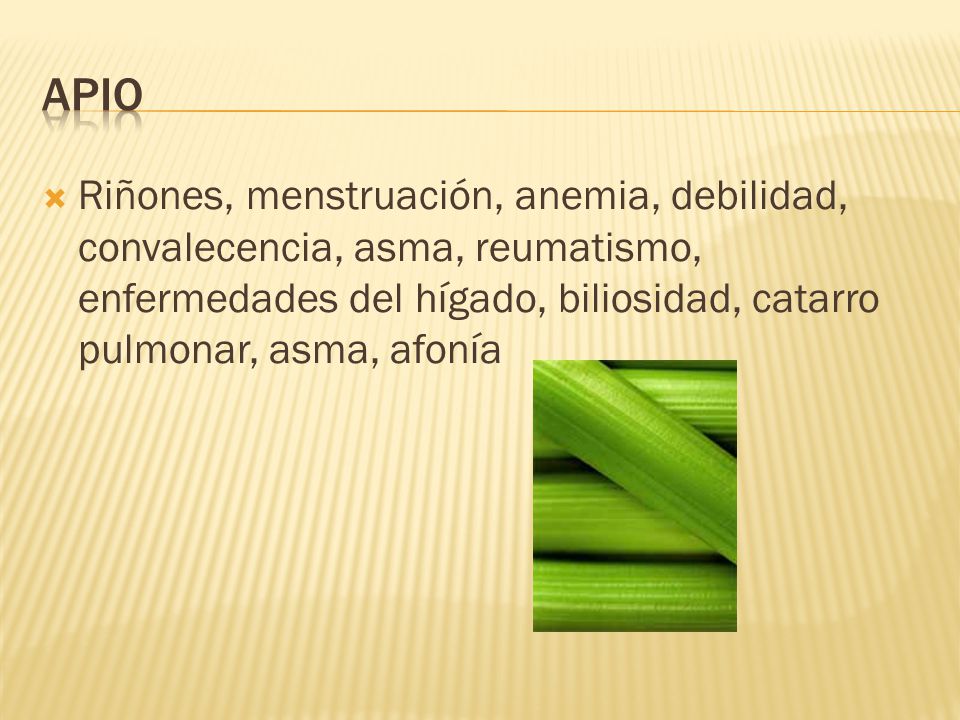 Apio Riñones, menstruación, anemia, debilidad, convalecencia, asma, reumatismo, enfermedades del hígado, biliosidad, catarro pulmonar, asma, afonía.