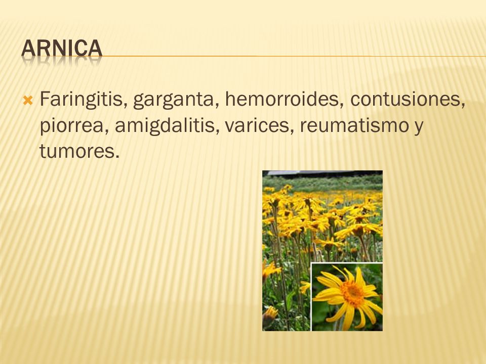 Arnica Faringitis, garganta, hemorroides, contusiones, piorrea, amigdalitis, varices, reumatismo y tumores.