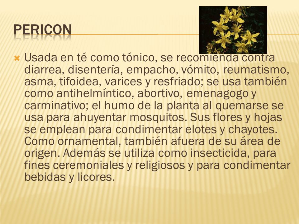 Platas Medicinales Ppt Descargar