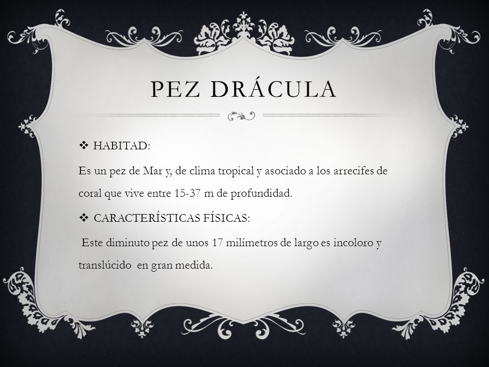 PEZ DRÁCULA HABITAD: Es un pez de Mar y, de clima tropical y asociado a los arrecifes de coral que vive entre m de profundidad.