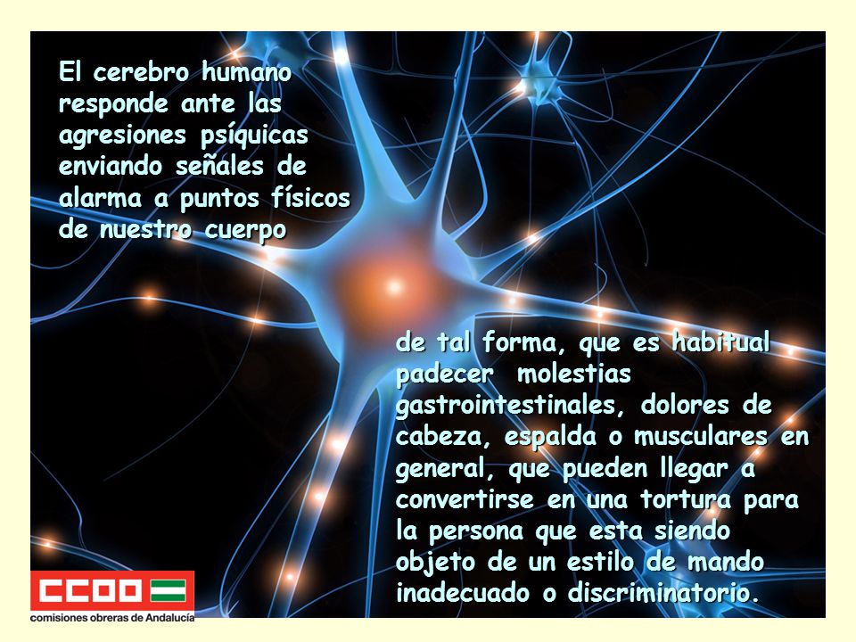 El cerebro humano responde ante las agresiones psíquicas enviando señales de alarma a puntos físicos de nuestro cuerpo