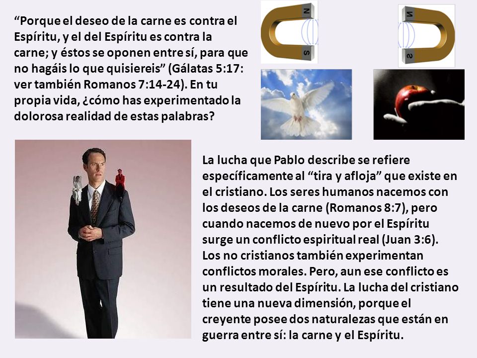 Porque el deseo de la carne es contra el Espíritu, y el del Espíritu es contra la carne; y éstos se oponen entre sí, para que no hagáis lo que quisiereis (Gálatas 5:17: ver también Romanos 7:14-24). En tu propia vida, ¿cómo has experimentado la dolorosa realidad de estas palabras