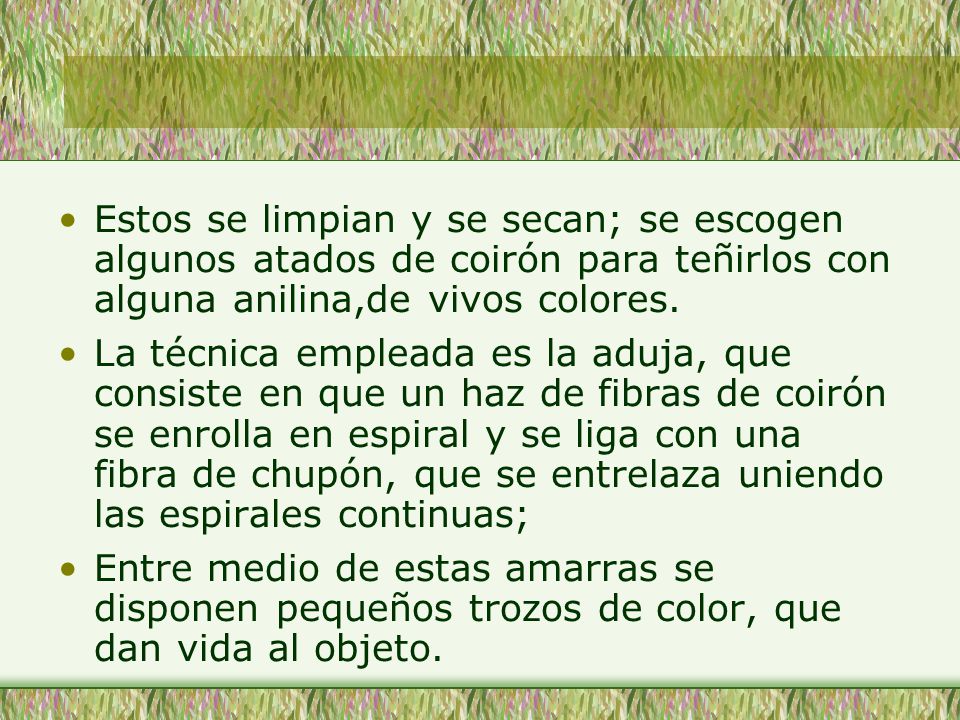 Estos se limpian y se secan; se escogen algunos atados de coirón para teñirlos con alguna anilina,de vivos colores.