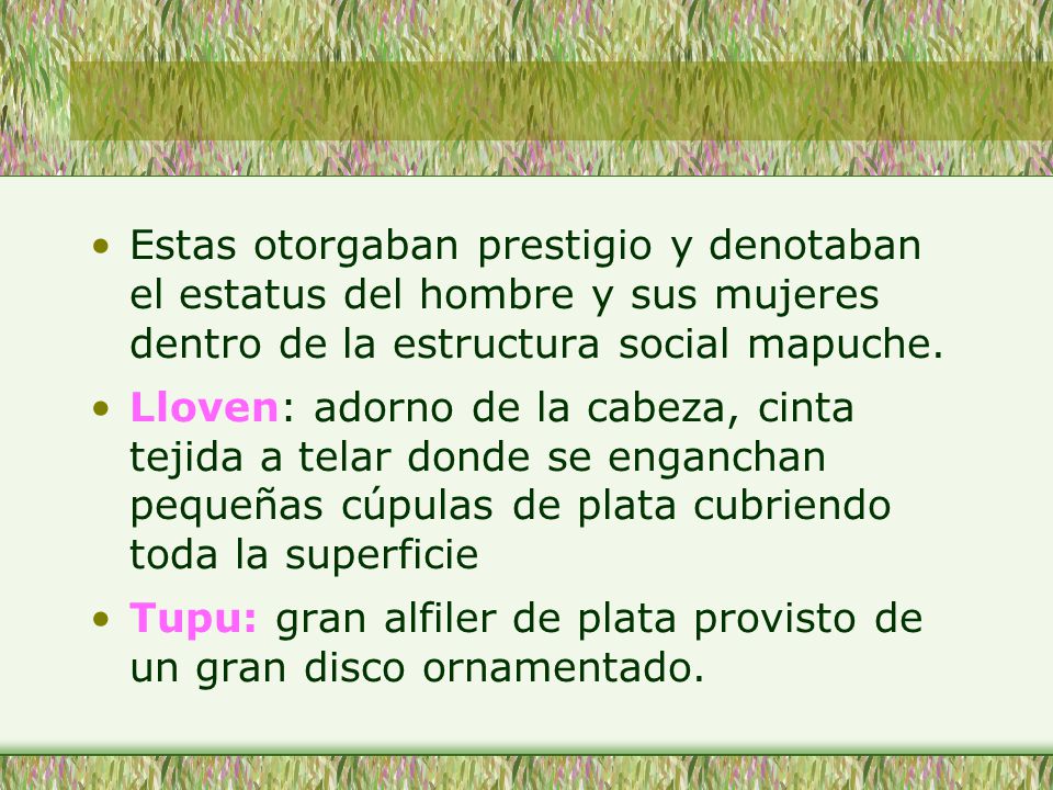 Estas otorgaban prestigio y denotaban el estatus del hombre y sus mujeres dentro de la estructura social mapuche.
